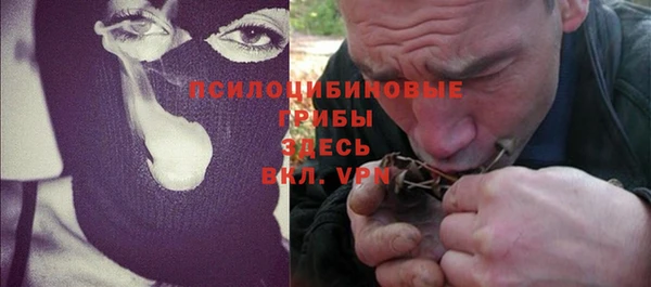 МДПВ Богородицк