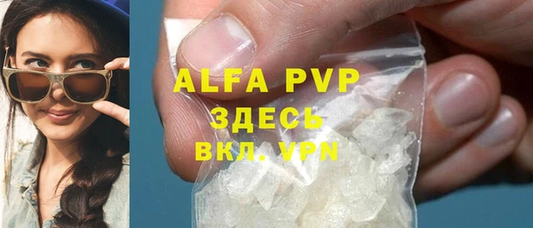 гидра Богданович