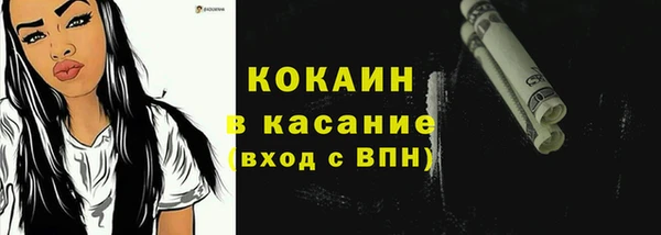 гидра Богданович