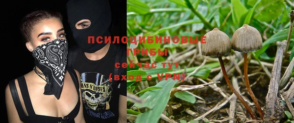 герыч Белокуриха