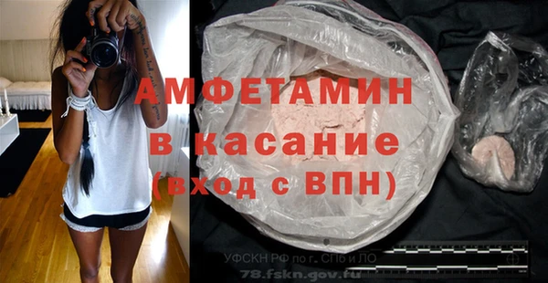 гидра Богданович