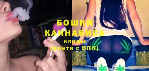 МДПВ Богородицк